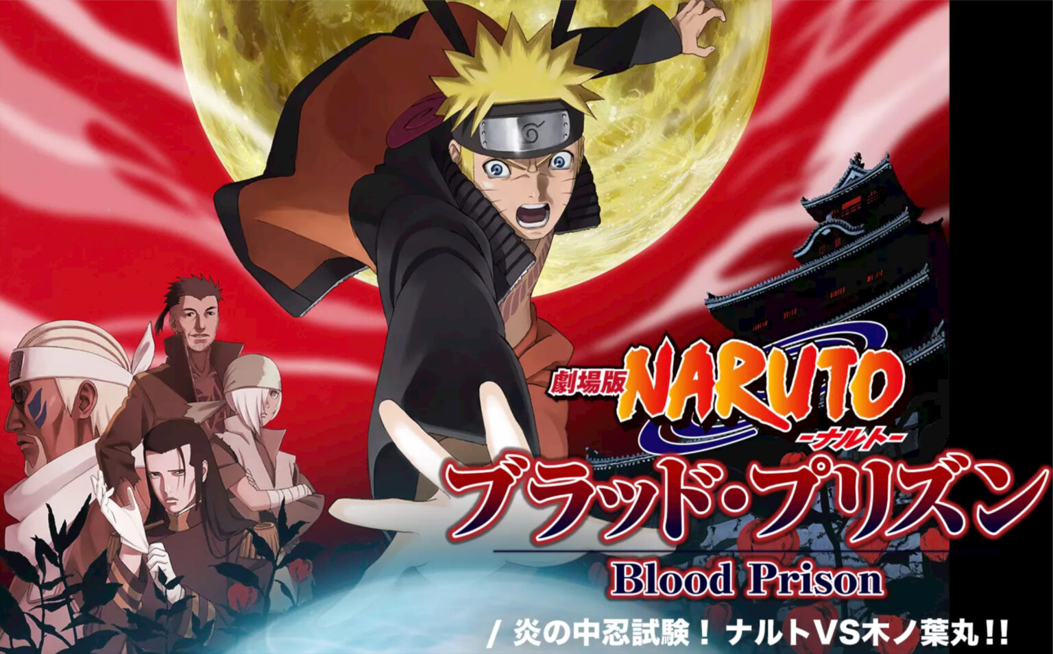 NARUTO ナルト 劇場版 DVD レンタル アニメ - アニメ